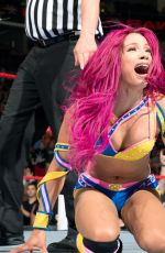 WWE - 2016 Champions