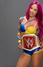 WWE - 2016 Champions