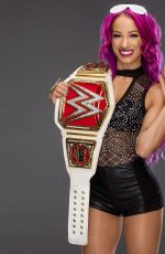 WWE - 2016 Champions