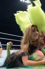 WWE - Live in Barcelona, November 2016