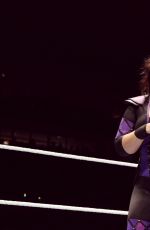 WWE - Live in Berlin, November 2016