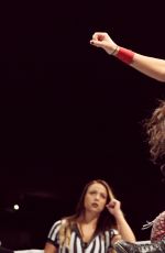 WWE - Live in Berlin, November 2016