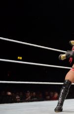 WWE - Live in Birmingham, November 2016