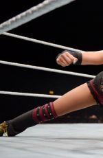 WWE - Live in Birmingham, November 2016