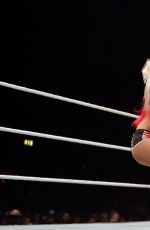 WWE - Live in Birmingham, November 2016