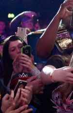 WWE - Live in Birmingham, November 2016