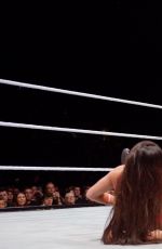 WWE - Live in Birmingham, November 2016