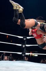 WWE - Live in Cardiff, November 2016