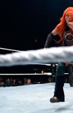 WWE - Live in Cardiff, November 2016