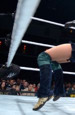 WWE - Live in Cardiff, November 2016