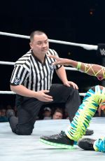 WWE - Live in Cardiff, November 2016