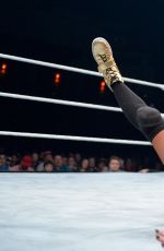 WWE - Live in Cardiff, November 2016