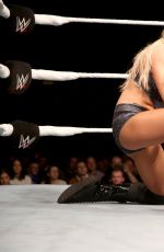 WWE - Live in Frankfurt, November 2016