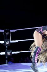WWE - Live in Frankfurt, November 2016