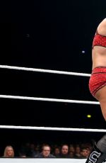 WWE - Live in London, November 2016