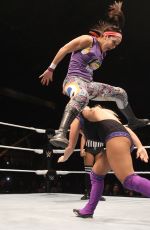 WWE - Live in Lyon, November 2016