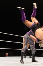 WWE - Live in Lyon, November 2016