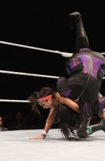 WWE - Live in Lyon, November 2016