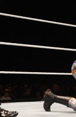 WWE - Live in Lyon, November 2016
