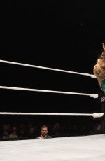 WWE - Live in Lyon, November 2016