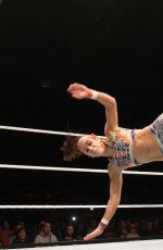 WWE - Live in Lyon, November 2016