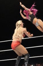WWE - Live in Lyon, November 2016