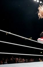 WWE - Live in Manchester, November 2016