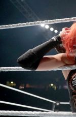 WWE - Live in Manchester, November 2016