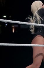 WWE - Live in Manchester, November 2016