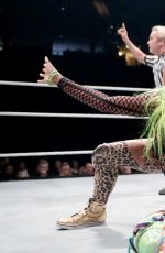 WWE - Live in Manchester, November 2016