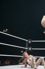 WWE - Live in Manchester, November 2016