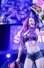 WWE - Live in Mexico City 12/03/2016