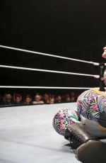 WWE - Live in Minehead, November 2016 