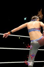 WWE - Live in Munich, November 2016