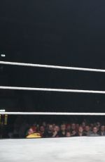 WWE - Live in Newcastle, November 2016