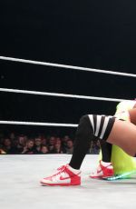 WWE - Live in Newcastle, November 2016