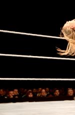 WWE - Live in Vienna, November 2016