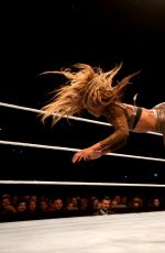 WWE - Live in Vienna, November 2016