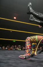 WWE - NXT Live Event in Osaka, December 2016
