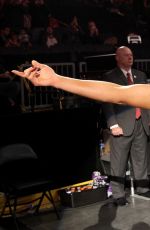 WWE - Raw Digitals 11/28/2016