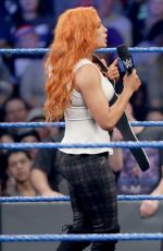 WWE - Smackdown Live! Digitals 11/29/2016