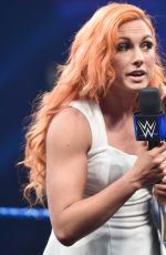 WWE - Smackdown Live! Digitals 11/29/2016