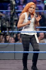 WWE - Smackdown Live! Digitals 11/29/2016