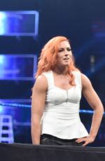 WWE - Smackdown Live! Digitals 11/29/2016