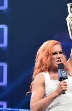 WWE - Smackdown Live! Digitals 11/29/2016