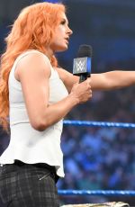 WWE - Smackdown Live! Digitals 11/29/2016