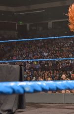 WWE - Smackdown Live! Digitals 11/29/2016