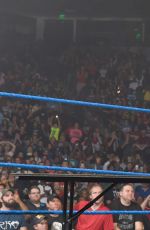 WWE - Smackdown Live! Digitals 11/29/2016
