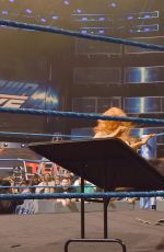 WWE - Smackdown Live! Digitals 11/29/2016