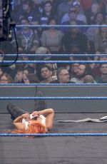 WWE - Smackdown Live! Digitals 11/29/2016